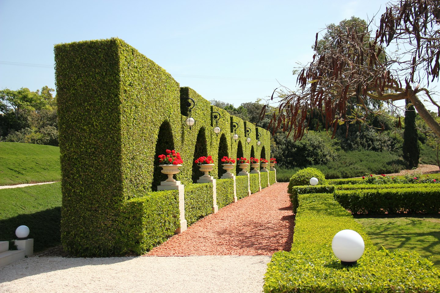 A formal garden path lined with manicured hedges and flower urns.