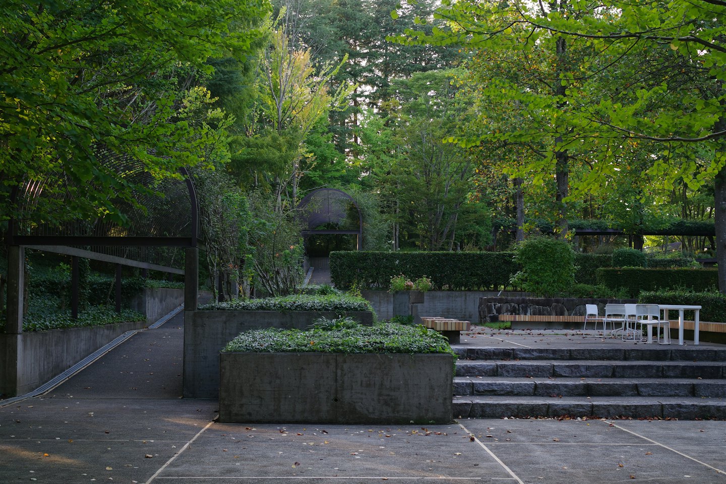 Modern garden with concrete planters and a paved stone pathway.